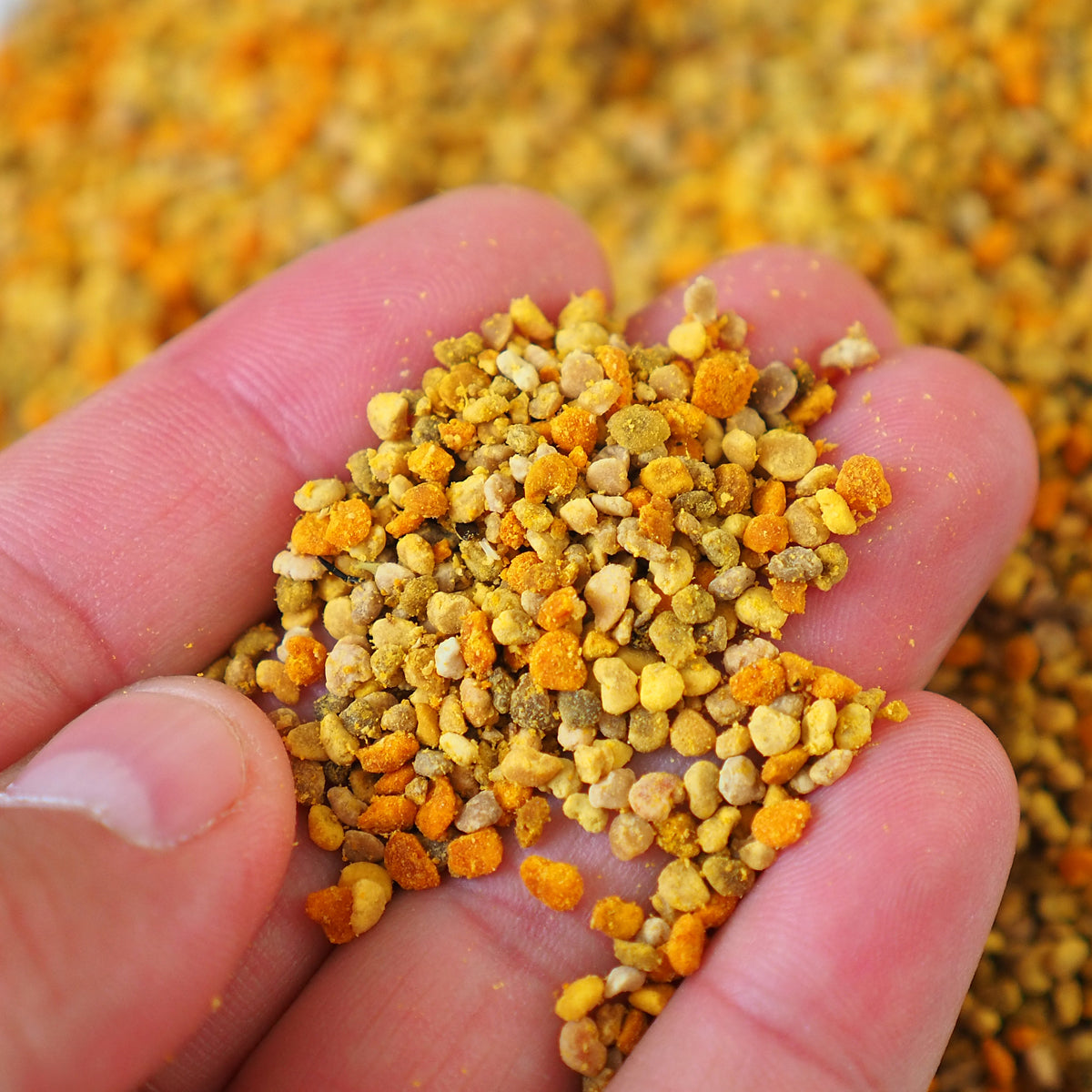 Mannavita сушен многоцветен пчелен прашец • 200 g