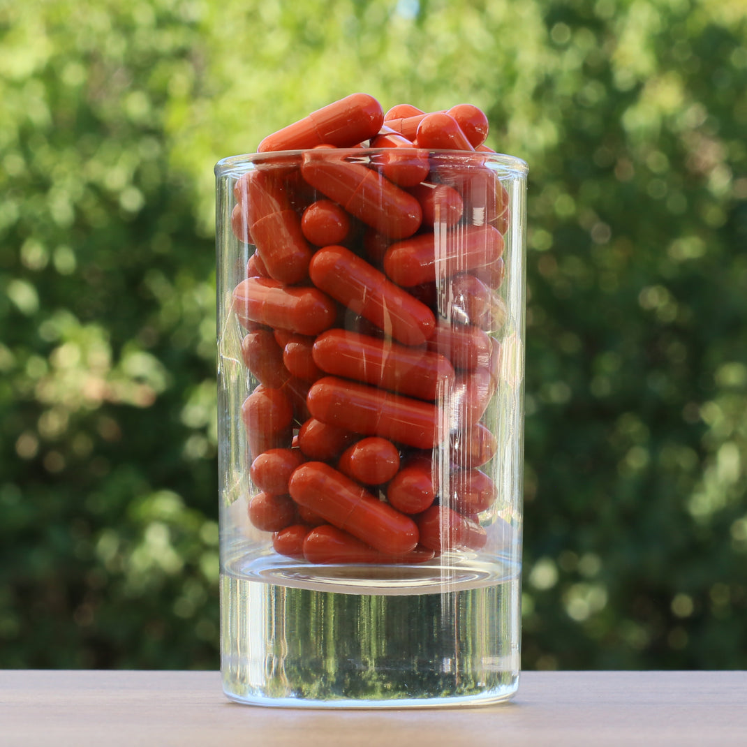 FEMNOX Кралско желе + Инозитол + Фолиева киселина + B12 комплекс • 90 капсули