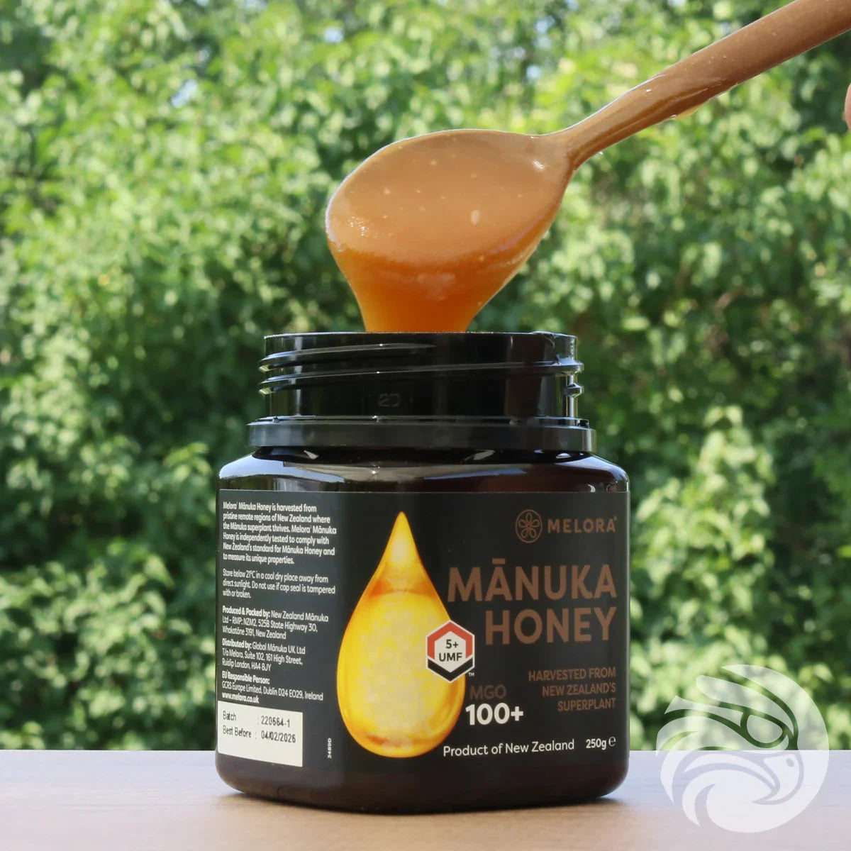 Melora Manuka Honey 100+ MGO™ UMF 5 • 250 g - Mannavita