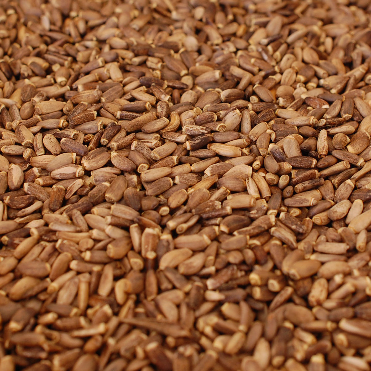 Mannavita унгарско студено пресовано масло от семена на бял трън • 250 мл