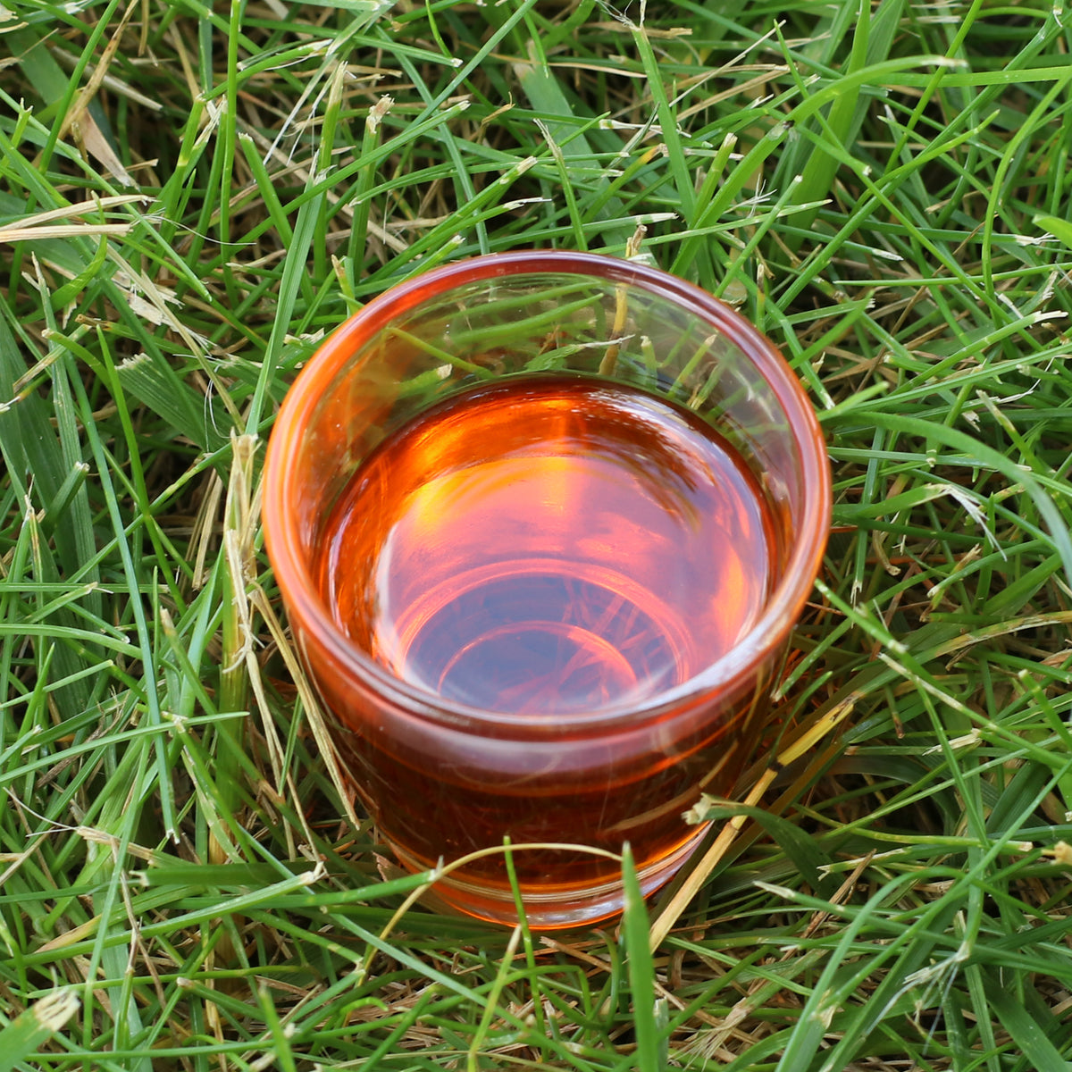 Mannavita унгарско студено пресовано масло от семена на облепиха • 40 мл