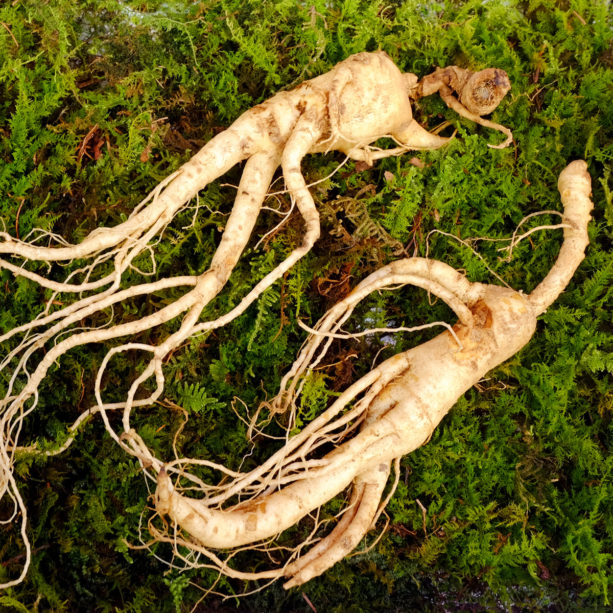 ENDOQIN Мъжка сила Форте • 90 капсули