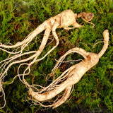 ENDOQIN Мъжка сила Форте • 90 капсули