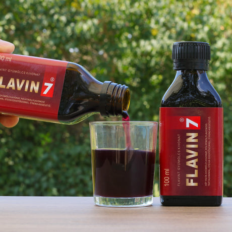 FLAVIN7 Биофлавоноиден комплекс • 7 x 100 ml