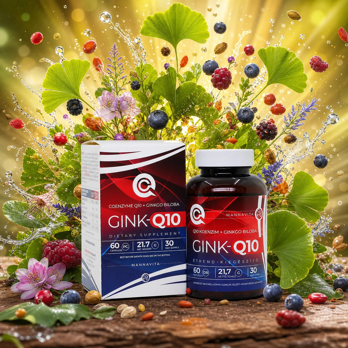 GINK-Q10 • Q10 Коензим + комплекс Гинко Билоба • 60 капсули