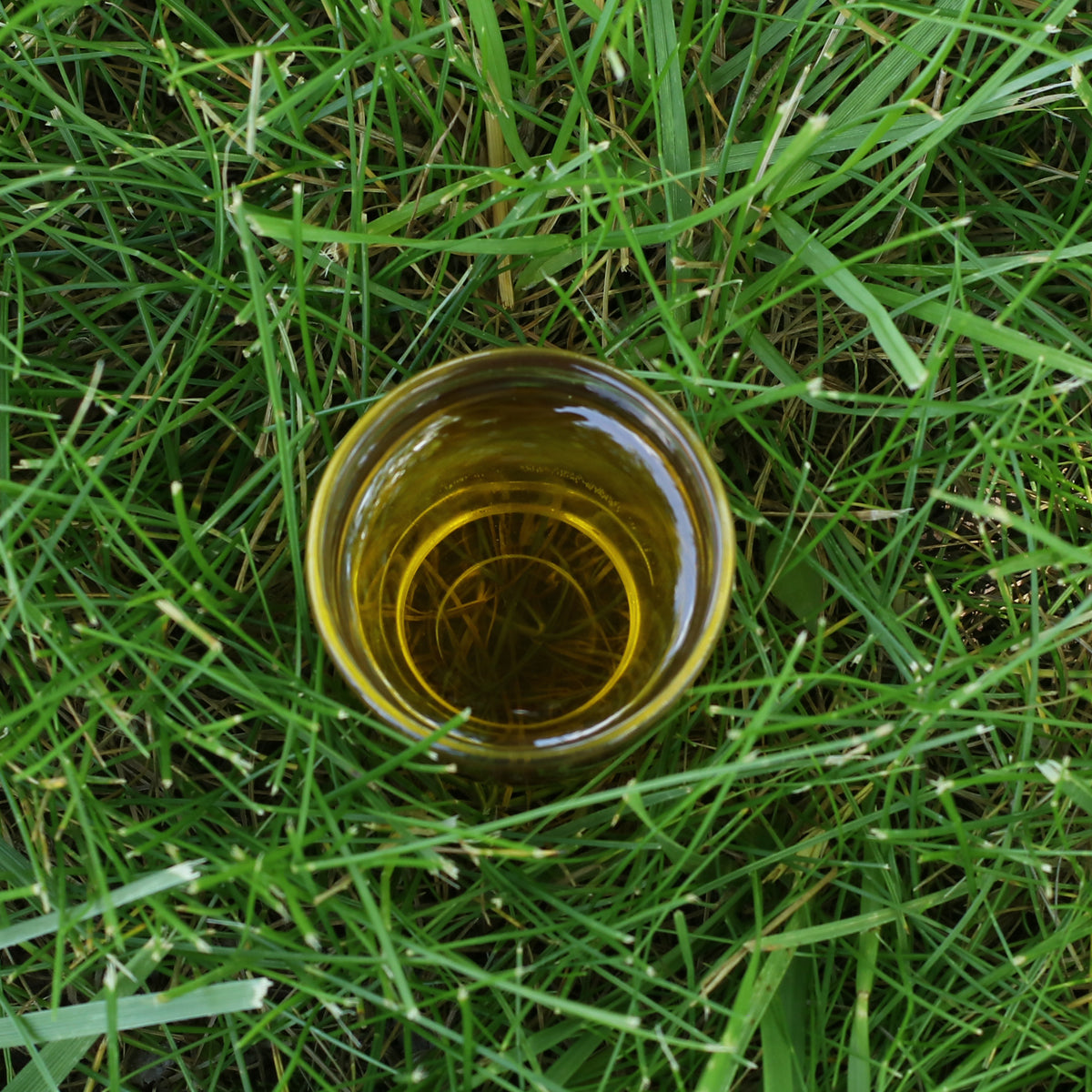 Mannavita унгарско студенопресовано гроздово олио • 250 ml