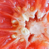 Капки от екстракт от семена на грейпфрут Mannavita • 100 мл