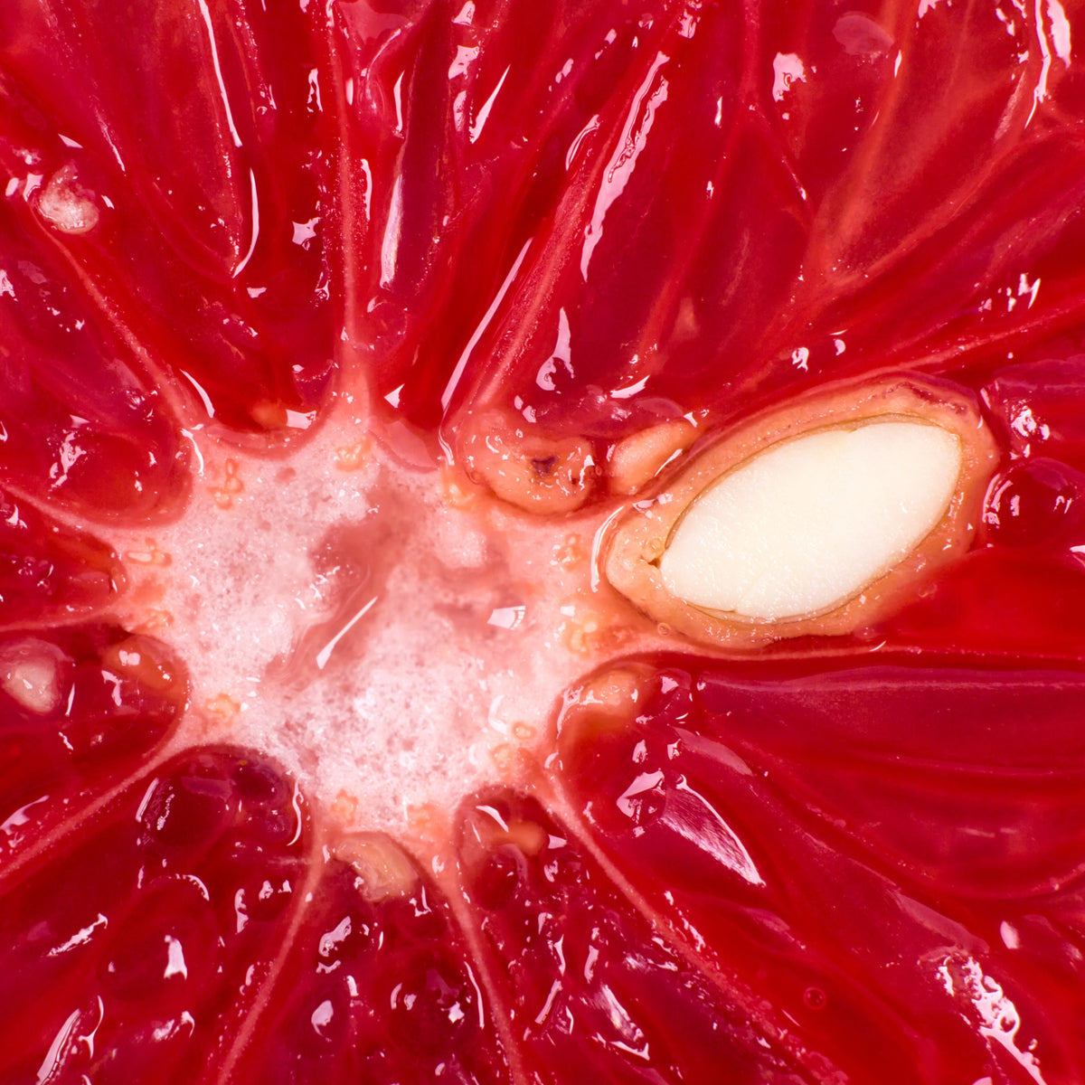 Капки от екстракт от семена на грейпфрут Mannavita • 100 мл