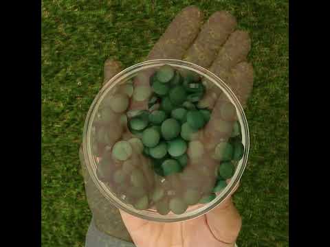 Mannavita Спирулина 500 mg таблетки • 180 бр.