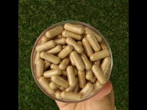 Ashwarax за облекчаване на тревожност, паника и безсъние • 90 капсули