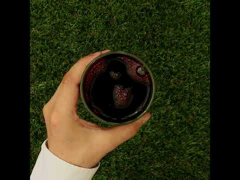 Mannavita • Сок от червени боровинки 100% пресован чист сок • 500 мл