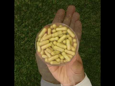 Комплекс храносмилателни ензими ENZIMA+ с Бетаин HCL • 90 капсули