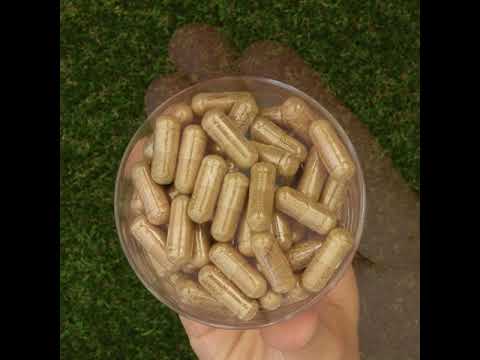 HEPADEX комплекс за регенерация на черния дроб и подобряване на здравето на черния дроб • 60 капсули