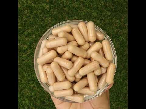 PrOcum комплекс за укрепване на Очите • 60 капсули