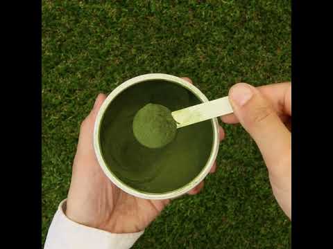 Mannavita суров прах от сок от Пшенична Трева • без глутен • 140g