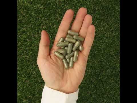 IMUNEX Комплекс от водорасли, 180 капсули