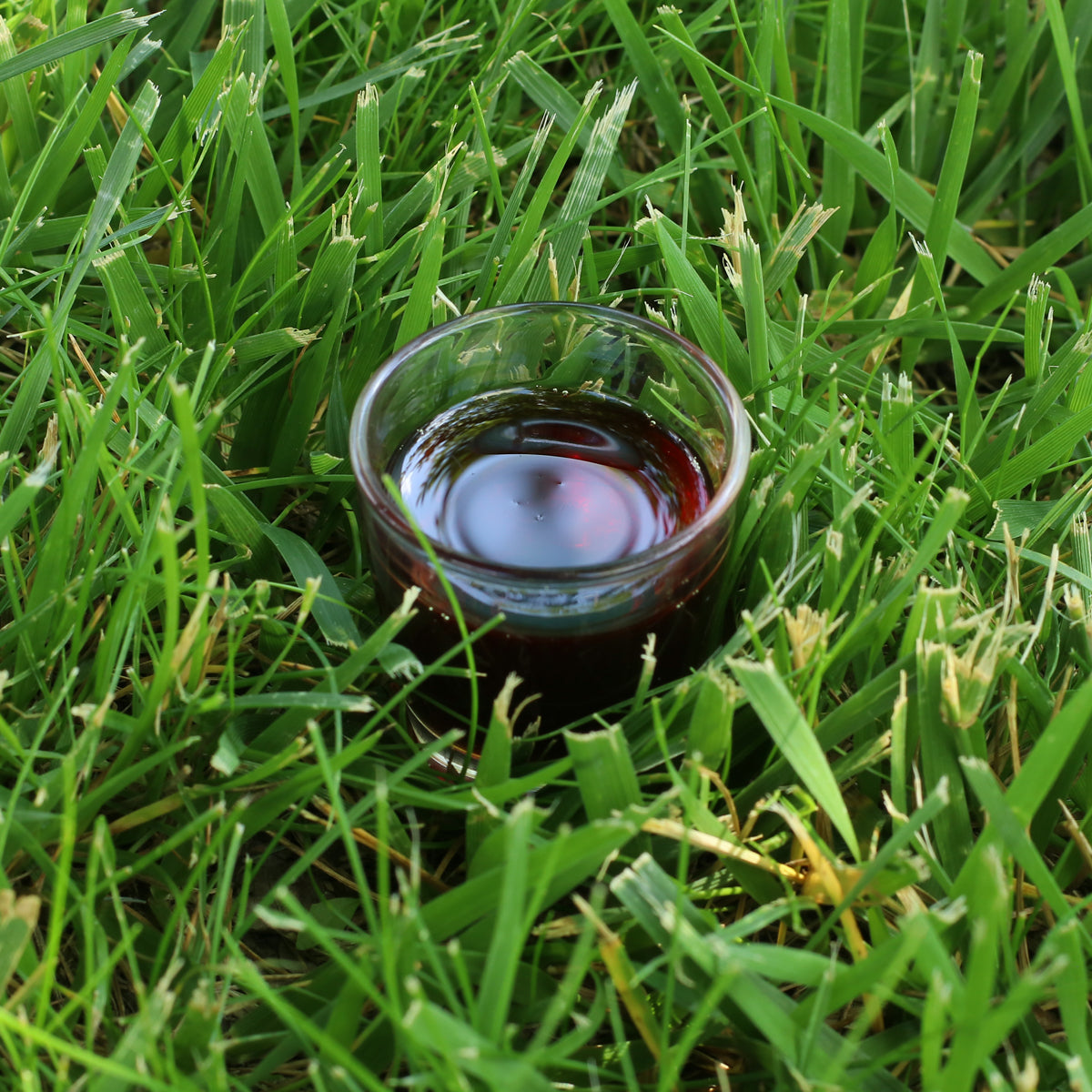 Mannavita унгарско студенопресовано тиквено олио • 250 ml